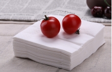 餐巾 盒（hé）裝抽紙 手帕紙 - 餐巾  盒裝抽（chōu）紙  手帕紙